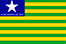 Bandeira Estado